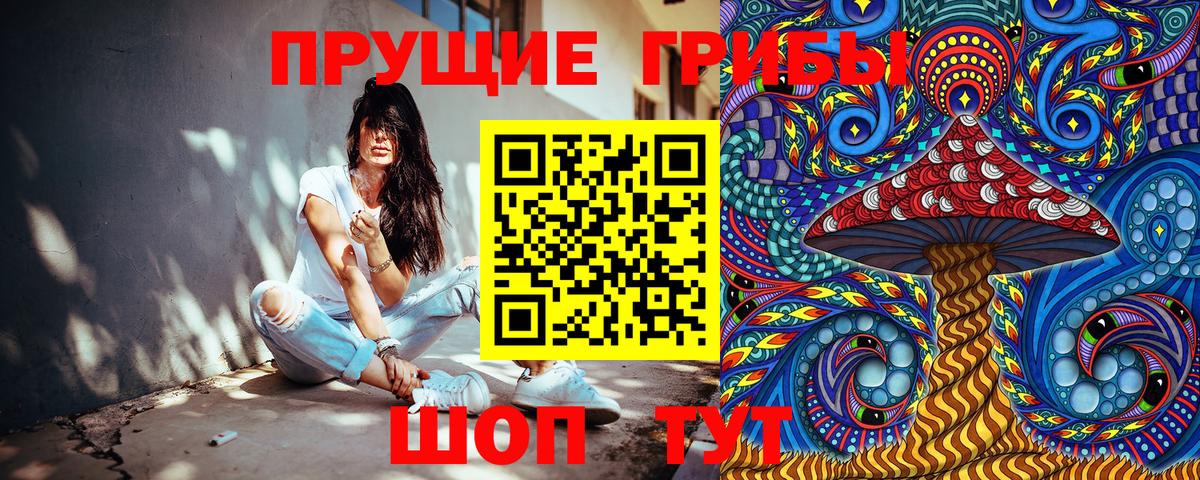 Галлюциногенные грибы Psilocybe  Галлюциногенные грибы прущие грибы  Калач-на-Дону  Вход с VPN 